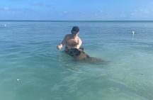 Creative Eco Adventures Swimming Experience with the Pigs