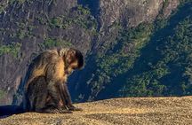 Experience Pedra Bonita and Vista Chinesa Guided Tour