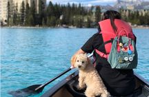 Roundtrip Shared Tour: Lake Louise, Moraine, Johnston & Emerald