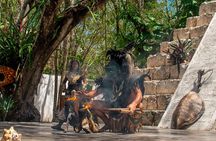 Otoch Mayan Experiences Shared Guided Tour