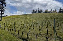 The San Francisco Tour Co. Sommelier Guided Wine Tours