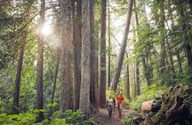 Summer Day Ticket at Cougar Mountain