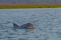 Pontoon Boat Rental in Hilton Head Island