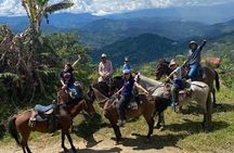 Full day Jardín coffee tour, optional horseback riding
