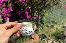 Full day Jardín coffee tour, optional horseback riding