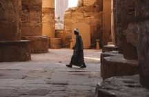 Half Day Tour of Luxor To Karnak & Luxor Temples (Private)