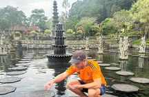 Ultimate Bali | Privately Guided TikTok Tour with Driver / Guide
