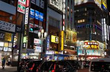 Tokyo YOLO Tour