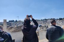 Visita guidata dei Trulli di Alberobello