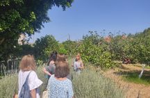 Kefalonia Fully Customizable Private Tour