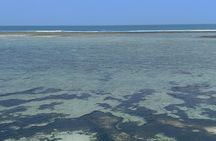 Zanzibar East and South Coast Day Tour