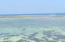 Zanzibar East and South Coast Day Tour