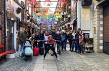 Discover Belfast with St. George's Market Minivan Tour