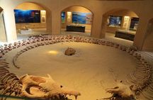 Fayoum Oasis Safari 4×4 Wadi El Rayan & Valley of the whales 