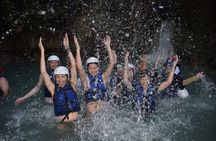 Monkey Tour and 7 Waterfalls Damajagua (Puerto Plata)