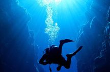 Where and How You Want Private Tour with Wilmar English or Spanish