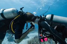 Side Scuba Diving for Beginners with Lunch and Transfers