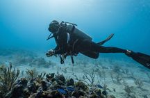 Side Scuba Diving for Beginners with Lunch and Transfers