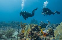 Side Scuba Diving for Beginners with Lunch and Transfers