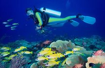 Side Scuba Diving for Beginners with Lunch and Transfers