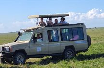 3-Day Serengeti and Ngorongoro Safari with Guide