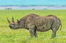 3-Day Serengeti and Ngorongoro Safari with Guide