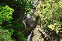 Waterfall and Monkeys from Jaco