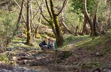 Ikaria Hiking: Alama's Springs