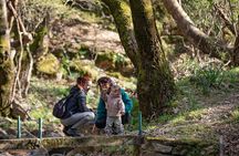 Ikaria Hiking: Alama's Springs