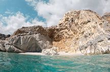 Randi's Forrest & Seychelles