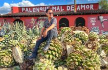 Monte Alban, Alebrijes, Mezcal, Teotitlan and Tule Tree Tour