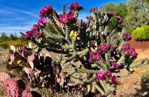 Fun Night Out! Desert Botanical Garden: Dinner & Walking Tour. 