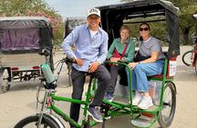  Central Park Pedicab Tours - History and Movie Locations