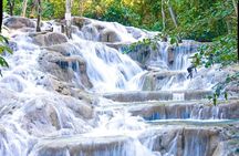 Dunn's River Falls and Park Tour with Zip Line from Montego Bay 