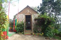 Bob Marley Nine Miles, sightseeing and local food and fruit stop 