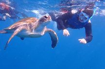 Visiting and Snorkeling in Daymaniyat Islands 