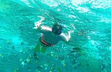 Amusing trip to Isla Mujeres with Unlimited Open Bar and Music