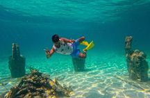 Amusing trip to Isla Mujeres with Unlimited Open Bar and Music