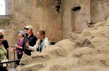 Skip the Line Pompeii Guided Tour from Sorrento