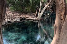 Hot Springs and Maasai Village Day Adventure