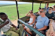 Full day Safari with BBQ Lunch in Addo Elephant National Park.