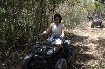 ATV Mangrove Adventure