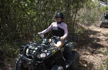 ATV Mangrove Adventure