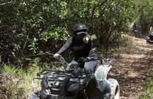 ATV Mangrove Adventure