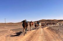 Errachidia to Merzouga: 3-Day Sahara Tour with Camel Trek