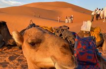 Errachidia to Merzouga: 3-Day Sahara Tour with Camel Trek