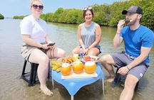 Negombo Lagoon Safari private Tour (Monkey Island, Mangrove)