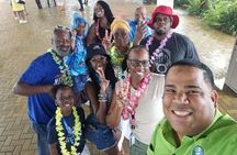 Combo: Monkeys and city tours from amber cove and Taino bay 