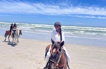 Seven Words Tours- New Jersey Day Tours