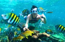 Cartagena's Rosario Islands 5-Site Boat Tour with Lunch & Snorkel